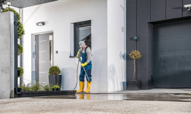 Animal Enclosure Cleaning in Agua Dulce, CA